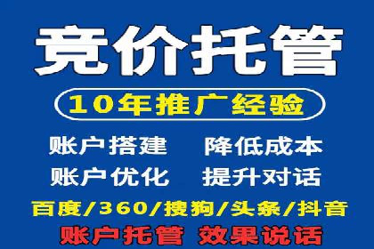 百度SEO推广案例解析与效果评估
